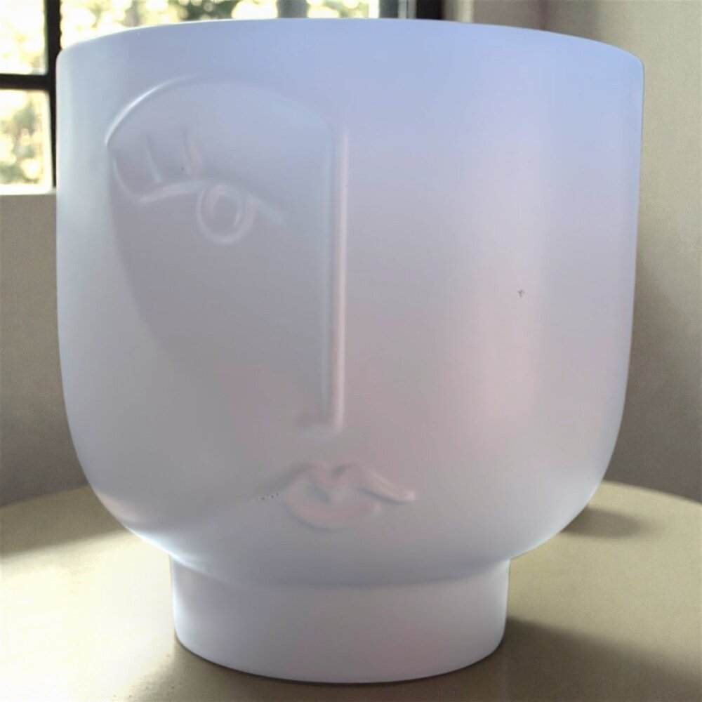 Modern Minimalist Face Planter White Ceramic Pot